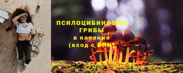 сатива Нягань